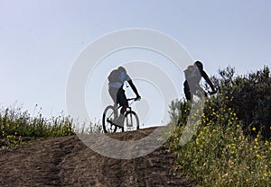 Mountain Biking in O`Neill Regional Park