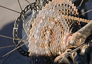 Mountain biking rear wheel after rough ride