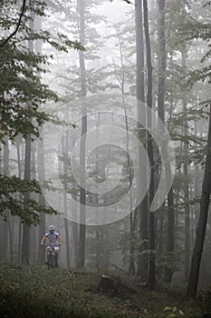 Mountain biking spring