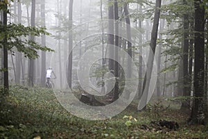 Mountain biking spring photo