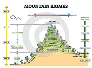 Mountain biomes with altitude and merriams life zones axis outline diagram