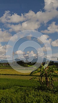 Mountain with blanket of cloud