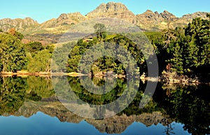 Mountain and bush reflections in a natural dam