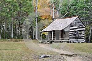 Mountain Cabin