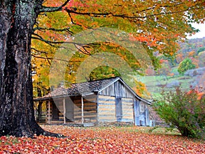 Mountain Cabin in Autumn