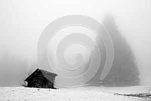 Mountain cabin in the fog