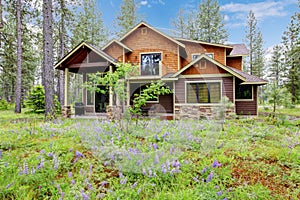 Mountain cabin home exterior