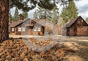Mountain cabin and pine cones