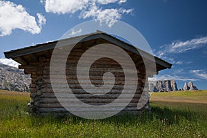 Mountain cabin with plenty room