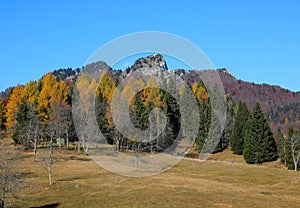 mountain called SPITZ in Northern Italy in the small town of TONEZZA DEL CIMONE in the province of Vicenza in autumn