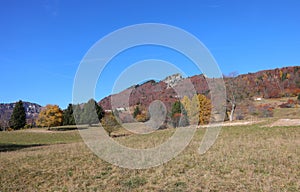 Mountain called SPITZ in Veneto Region in Northern Italy near TONEZZA DEL CIMONE Village