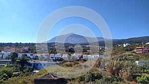 Mountain Canary Island 1