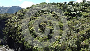 Mountain and canopy on Reunion Island