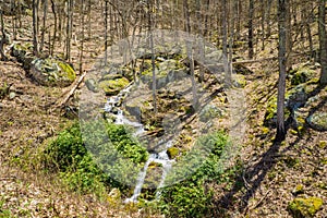 Mountain Cascading Waterfalls in the Woods - 2