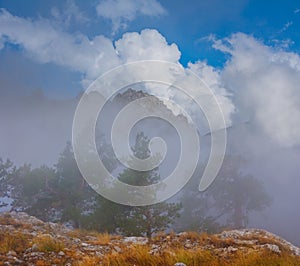 mountain chain in dense mist