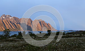 Mountain chain and Henningsvaer in Lofoten midnight sun