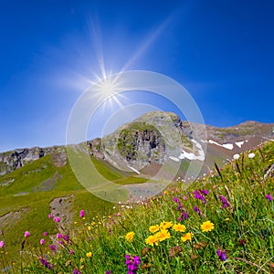 mountain chain under blue cloudy sky at summer sunny day