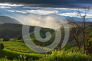 The mountain in Chaing Mai, Thailand.