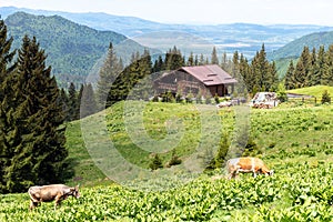 Mountain chalet in the Carpathians Mountains, Romania