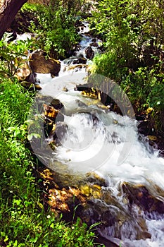 Mountain clean water spring