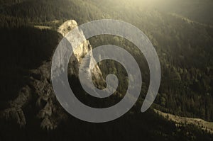 Mountain cliff rising from pine tree forest