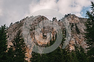 Mountain cliff, rocks, forest