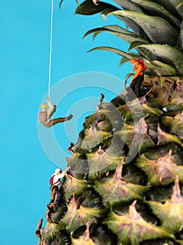 Mountain climber figures on pineapple