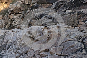 Mountain closeup view,mount on dry grass.