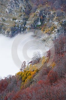 Mountain clouds