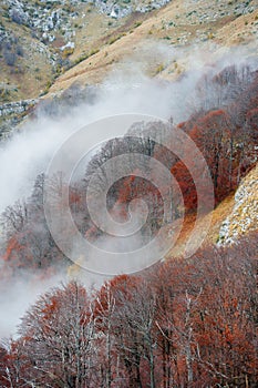 Mountain clouds