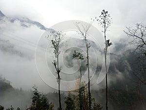 Mountain clouds, clouds like fog