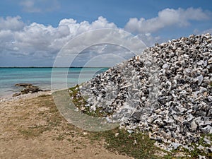 A mountain of Conch Shells with the Caribbean Sea in the background, Lac Bay, Lake Goto, Bonaire.