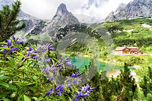 Horská chata ve Vysokých Tatrách, Slovensko