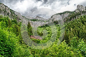 Mountain cottage Plesnivec in Belianske Tatras, Slovakia