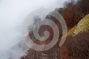 Mountain covered by clouds