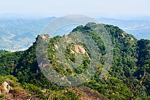 The mountain covered with forest