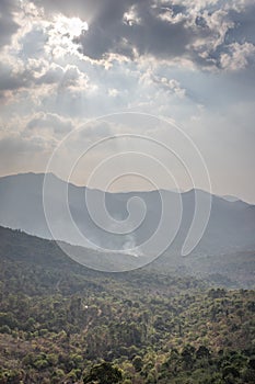 Mountain covered with green forest