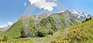 Mountain covered with plants with snow on top