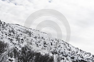 A mountain covered in shallow snow. Bushes peeking out of the snow. Cloudy blue sky. Log cabin. Wood lodge