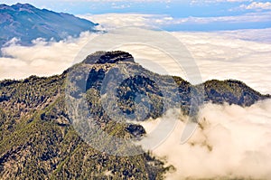 A mountain covered in trees and clouds