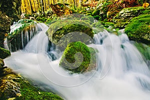 Mountain creek detail with mossy rocks and crystal clear water