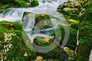 Mountain creek detail with mossy rocks and crystal clear water