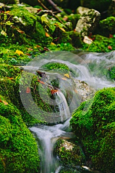 Mountain creek detail with mossy rocks and crystal clear water