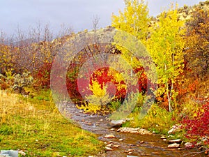 Mountain Creek in Fall Colors