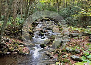 Mountain creek flowing over moss covered rocks with fall foliage