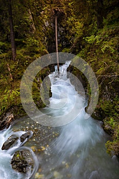 A mountain creek flowing between rapids and vegetation