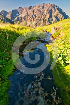 Mountain creek in Kobylia dolina valley in High Tatras during summer