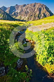 Mountain creek in Kobylia dolina valley in High Tatras during summer