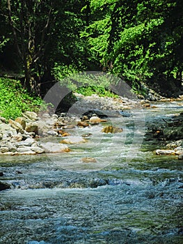 Mountain creek lit by sunlight