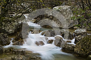 Mountain creek with little waterfalls